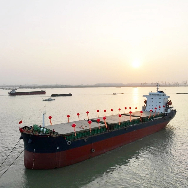 크레인이 장착된 이중 선체 맞춤형 벌크선 